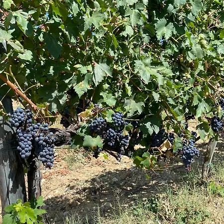 La Corte Di Campalli By Salogi * Castellina in Chianti